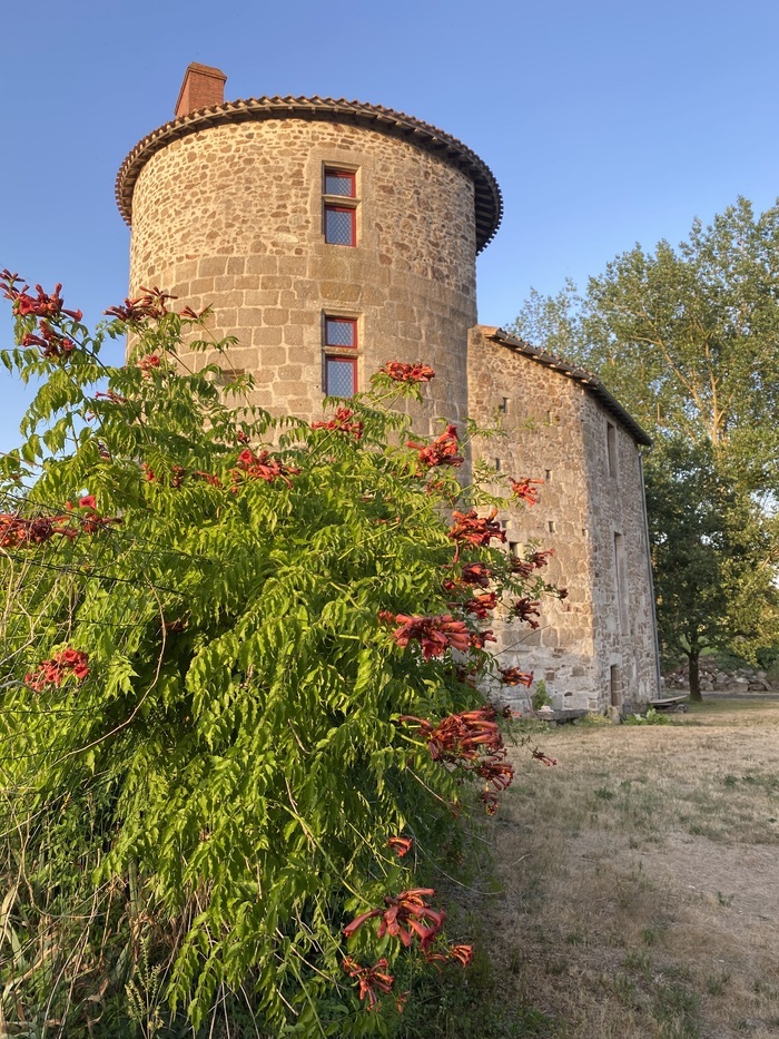 Visite commentée : "20 ans de restauration du vieux château" Le vieux château Montravers