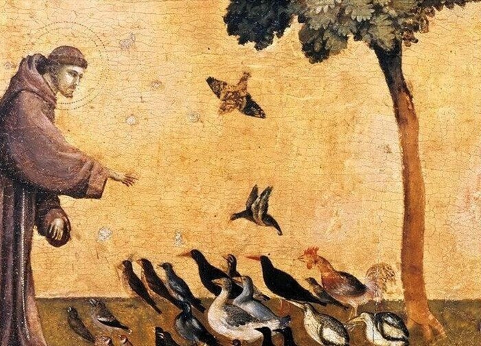 Visite commentée : créations végétales, les 800 ans de Saint François d&rsquo;Assise, Domaine de la Tour Montpellier, Montpellier