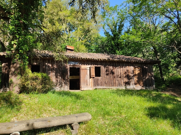 Visite commentée de la cabane pêcherie de la Nasse, La cabane de la Nasse (accès pédestre), Léon