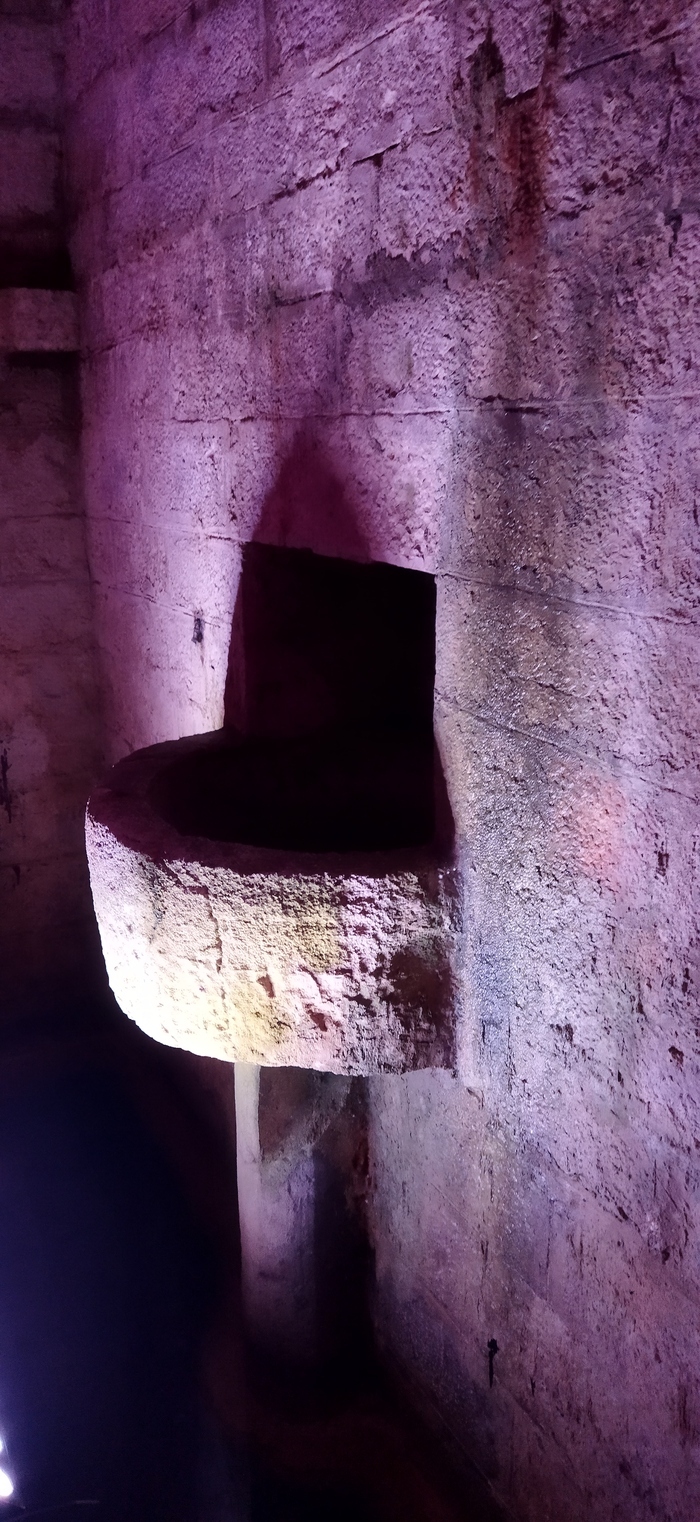 Visite commentée de la crypte du Bayaà et des collections archéologiques liées au passé saunier de Salies-de-Béarn Maison des Part-Prenants Salies-de-Béarn