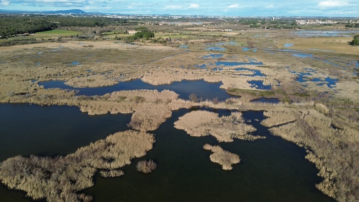 Visite commentée de la réserve naturelle nationale de l&rsquo;Estagnol, Réserve naturelle nationale de l&rsquo;Estagnol, Villeneuve-lès-Maguelone