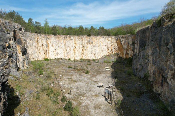 Visite commentée de la Reserve Naturelle Nationale du Bois du Parc, Réserve naturelle nationale du Bois du Parc – Parking des Quatre Pieux, Mailly-le-Château