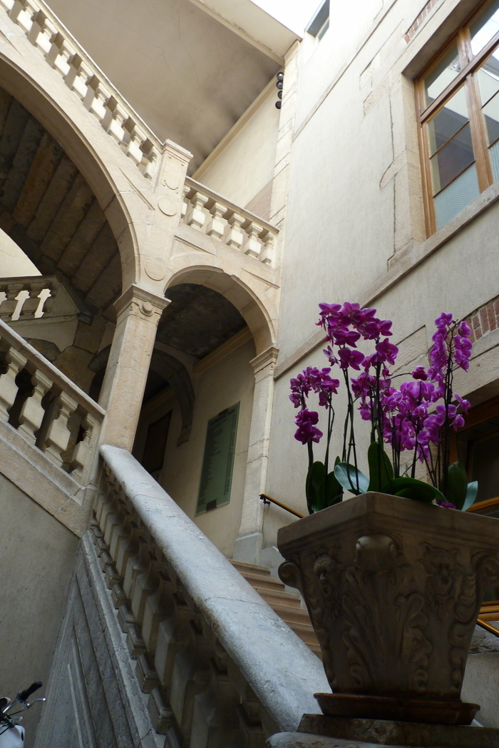 Visite commentée  » De l&rsquo;Hôtel particulier à l&rsquo;Hôtel de Ville « , Hôtel de Ville de Vienne, Vienne
