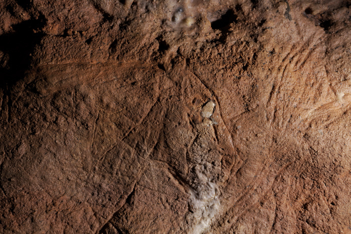 Visite commentée : découverte d'une grotte ornée du Paléolithique ! Grotte des Combarelles Les Eyzies