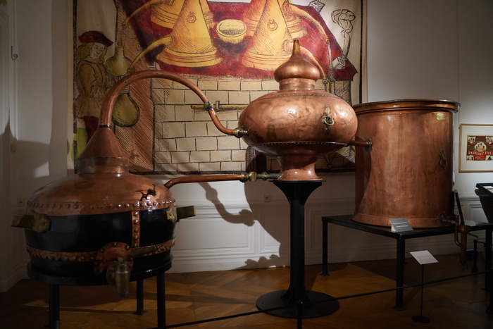 Visite commentée : distiller le monde, un voyage au cœur du vivant, La Maison du négociant – Musée d&rsquo;Art et d&rsquo;Histoire, Cognac