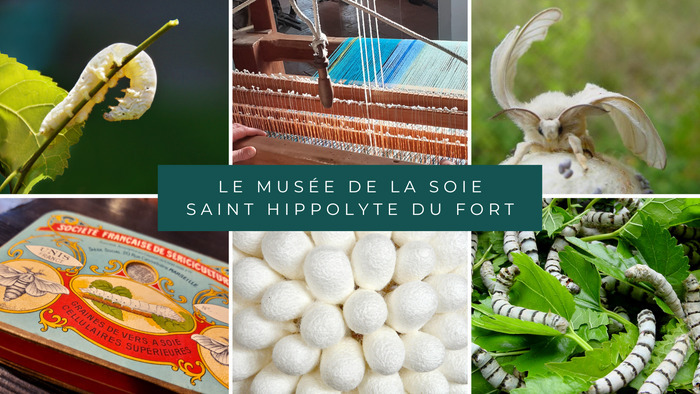 Visite commentée du Musée de la soie, Musée de la soie, Saint-Hippolyte-du-Fort