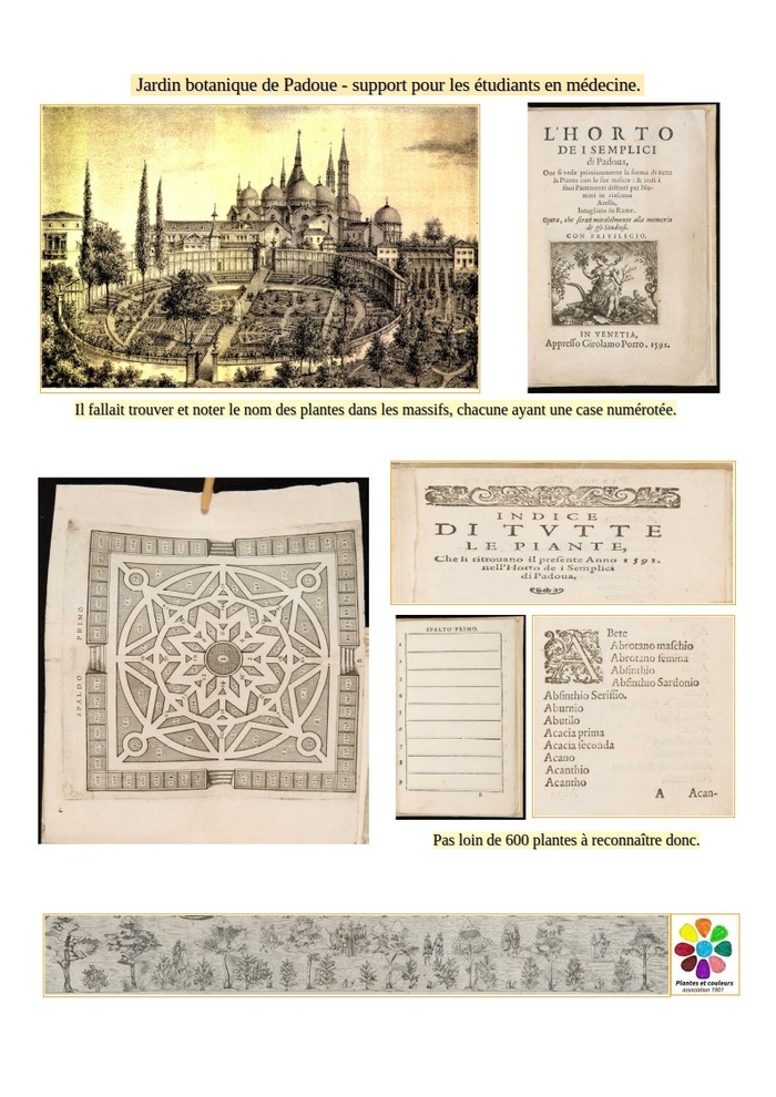 Visite commentée d&rsquo;un jardin consacré aux plantes médicinales, Association Plantes et couleurs, Bénévent-l&rsquo;Abbaye