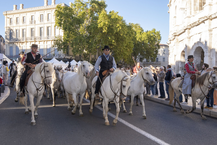 Visite commentée : « Histoire(s) de Ferias », Office de tourisme de Nîmes, Nîmes