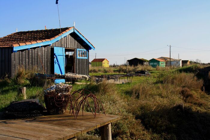 Visite commentée : nature et ostréiculture à Fort-Royer, Site ostréicole et naturel de Fort-Royer, Saint-Pierre-d’Oléron