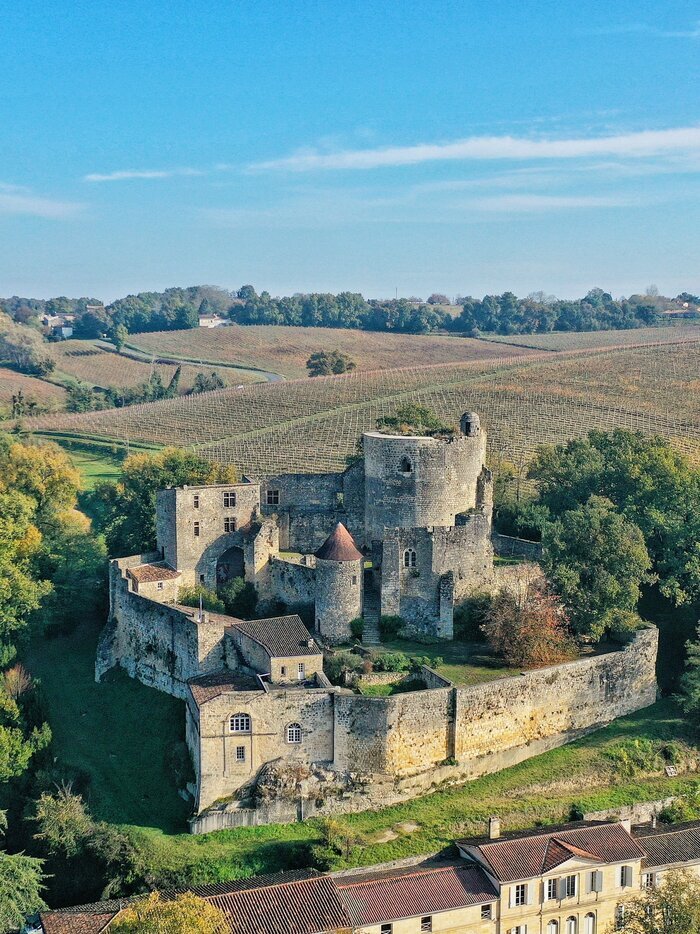 Visite commentée : renaissance d’un château, Château de Langoiran, Langoiran