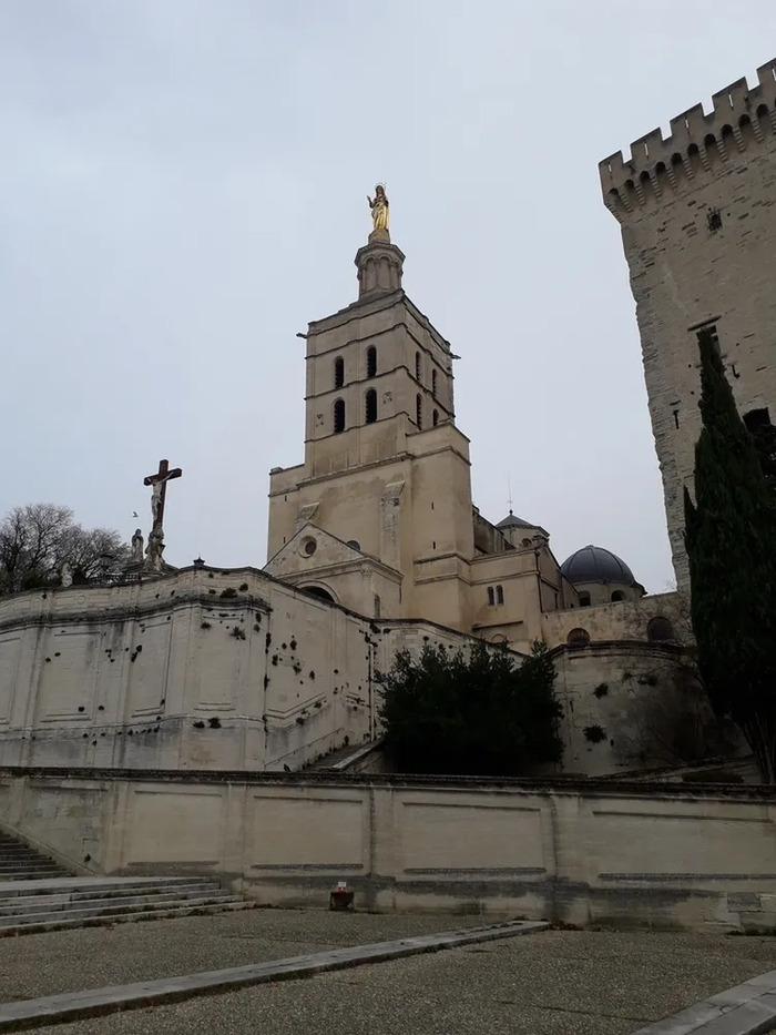 Visite de la Basilique Métropolitaine Notre-Dame-des-Doms, Basilique Notre-Dame-des-Doms, Avignon