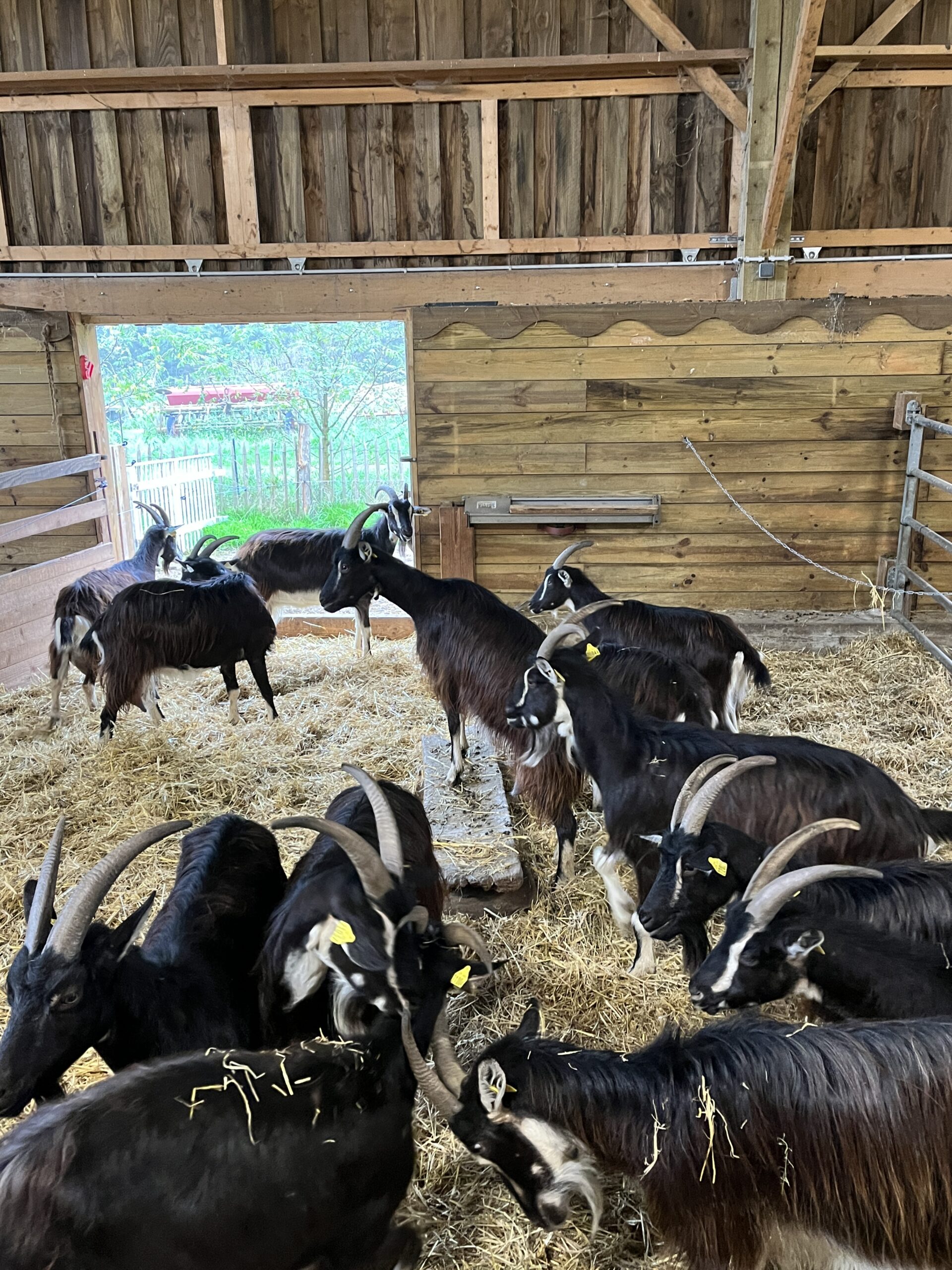 Visite de la ferme de la Bonnellerie  Chalandray 2026-10-22