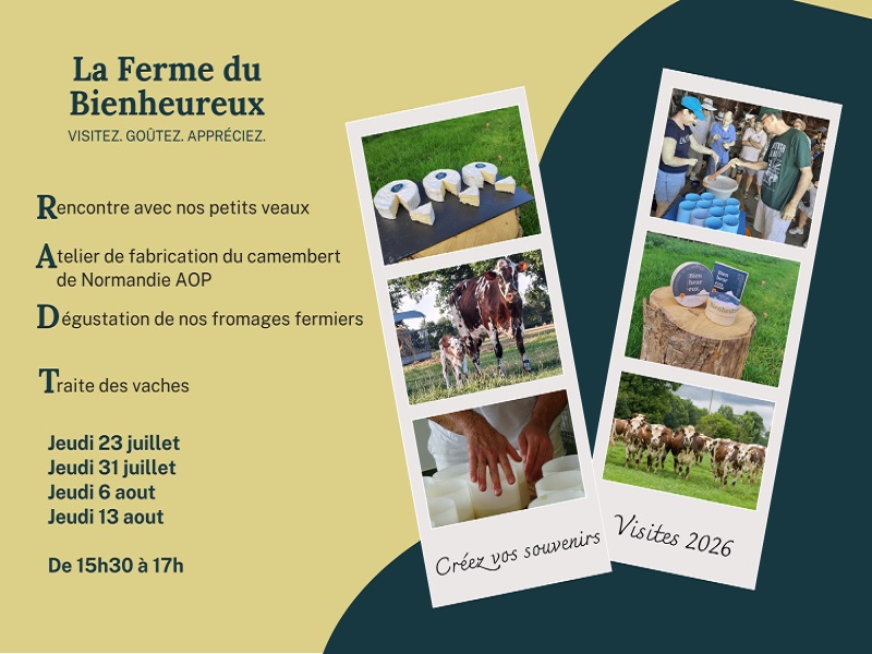 Visite de la ferme et fabrication de camemberts Ferme du Bienheureux Sartilly-Baie-Bocage