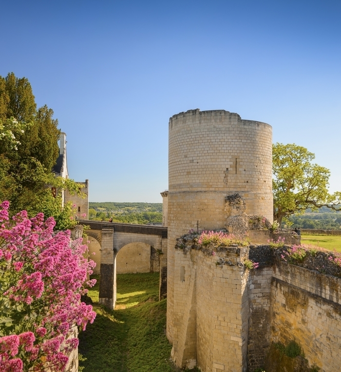 Visite de la fouille programmée du Fort du Coudray Forteresse royale de Chinon Chinon