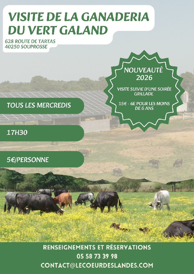 Visite de la Ganadéria du Vert Galant Souprosse