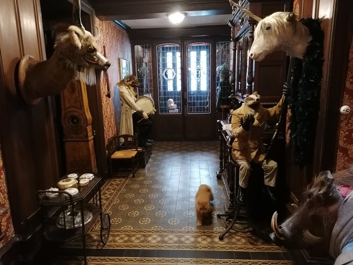 Visite de la Licorne et de son cabinet de curiosité, La Licorne, Saint-Mihiel