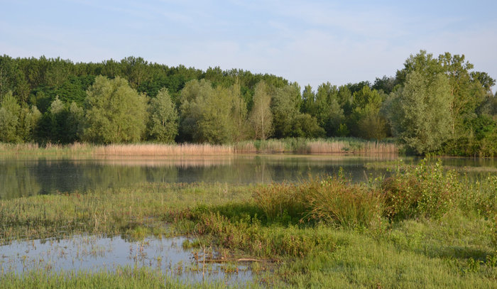 Visite de la Réserve Naturelle de l'Étang de la Mazière 1134 Petite Mazière Villeton 2026-11-08