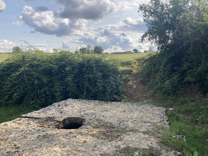 Visite de l’étang des moines de Saint-Hippolyte, Lieudit l’étang, Bonnay-Saint-Ythaire