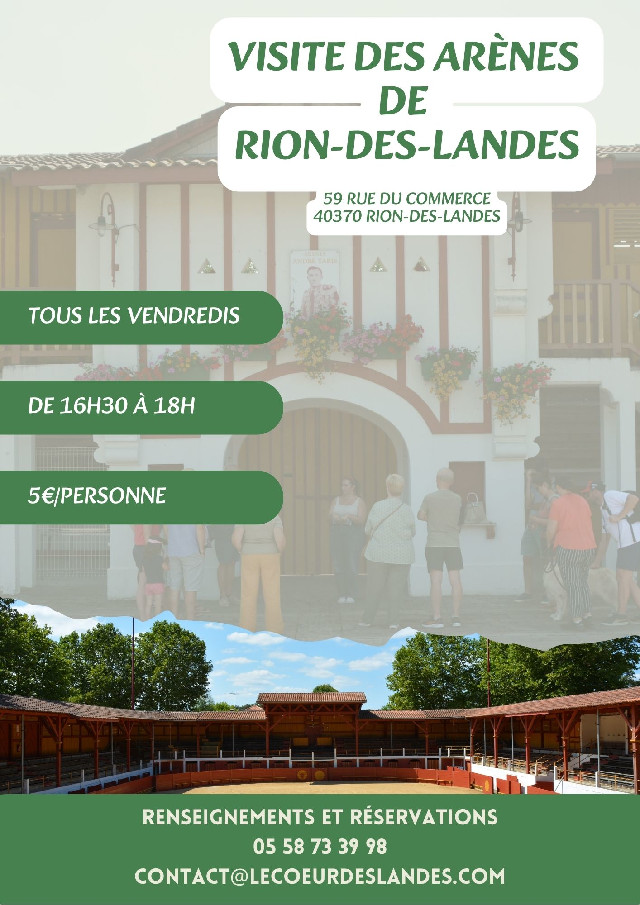 Visite des arènes de Rion des Landes Rion-des-Landes