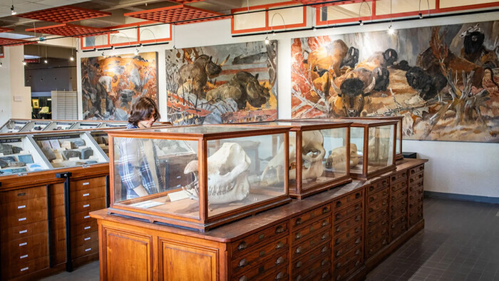 Visite des collections universitaires, Bâtiment 2, Campus de Beaulieu – Université de Rennes, Rennes