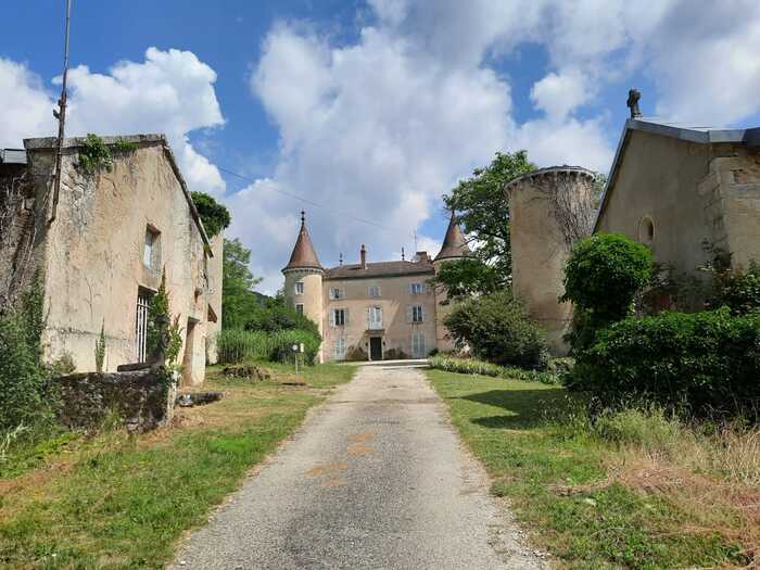 Visite du Chateau de Rosy, Chateau de Rosy, Nivigne et Suran