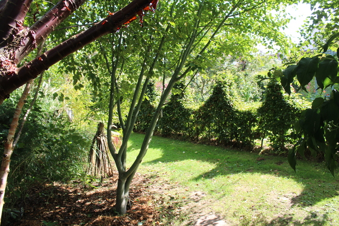 visite du jardin, jardin des sous avesnes, Offin
