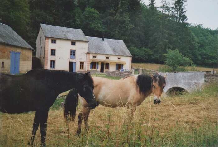 Visite du moulin de Marnay 6