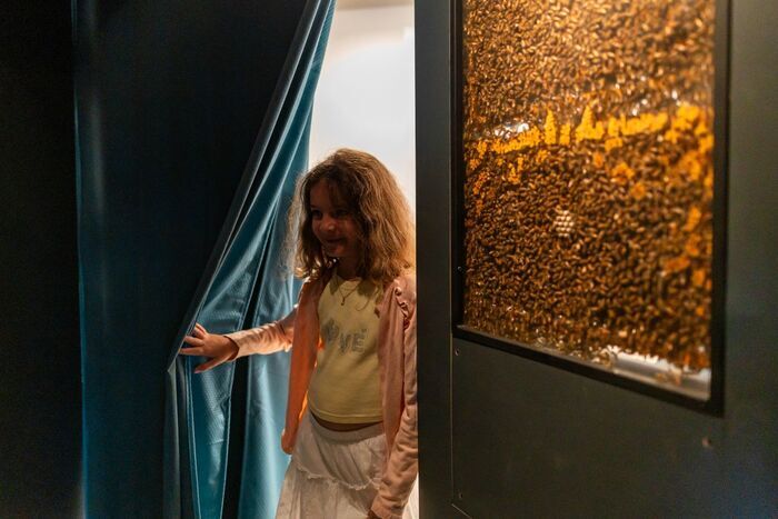 Visite du Musée sensoriel des abeilles et de l'apiculture La Butinerie Bormes-les-Mimosas
