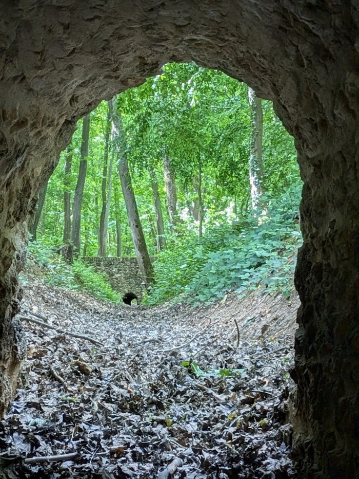 Visite du réseau hydraulique du domaine royal de Meudon en forêt de Meudon, Carrefour de l’Observatoire, Meudon