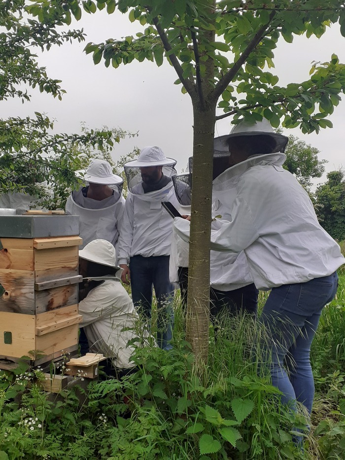 Visite du rucher + dégustation de nos produits APIWILLY Marais-Vernier