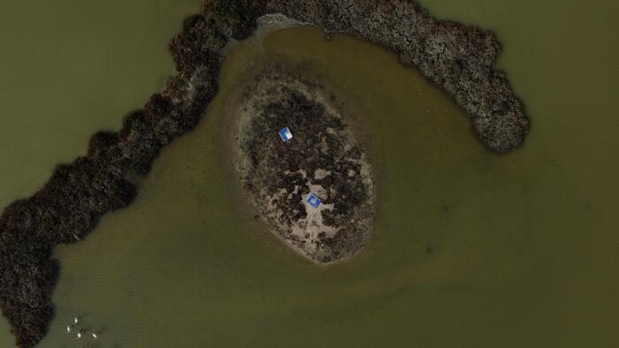 Visite du site naturel protégé des Salines de Villeneuve, Site naturel protégé des Salines de Villeneuve, Villeneuve-lès-Maguelone