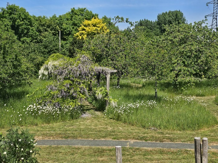 VISITE DU VERGER DU PUYTHOUCK, Verger, Grande-Synthe