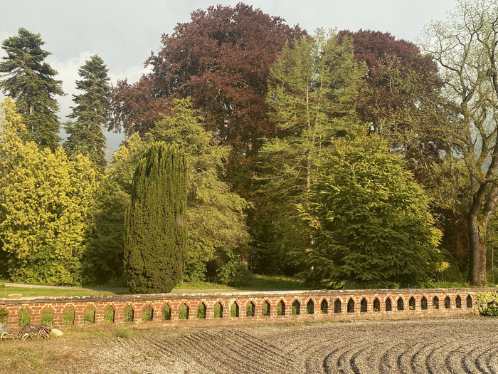 Visite d’un parc avec des arbres remarquables (7 hectares) et de l’intérieur du château de Rametz, château de Rametz, Bavay