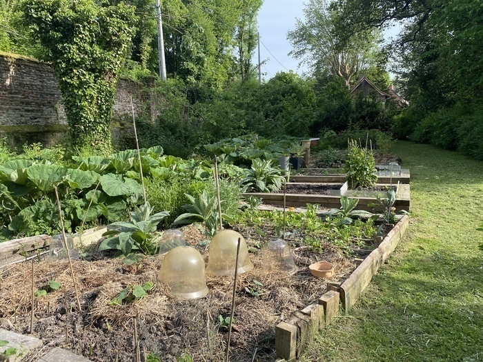 Visite d&rsquo;un potager en permaculture du château de Rametz, château de Rametz, Bavay