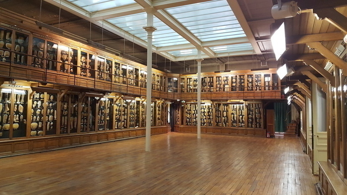 Visite d&rsquo;une collection de cires pathologiques, Hôpital Saint-Louis, Paris