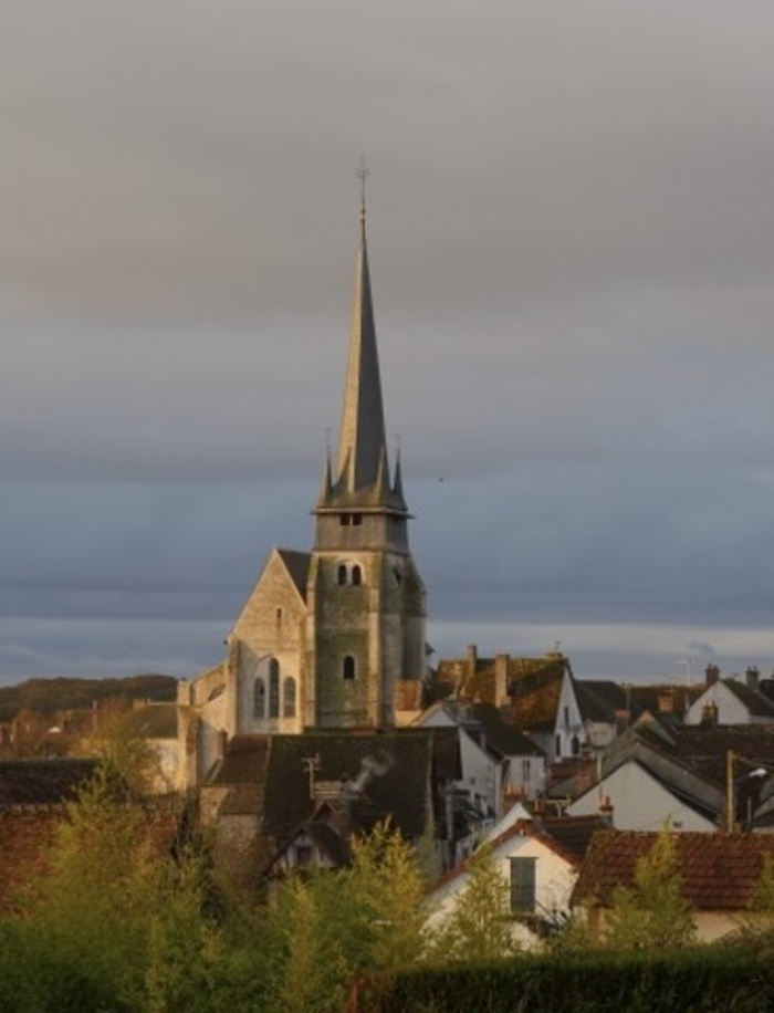 Visite d'une église classée aux Monuments Historiques Église Saint-Martin Ouzouer-sur-Trézée
