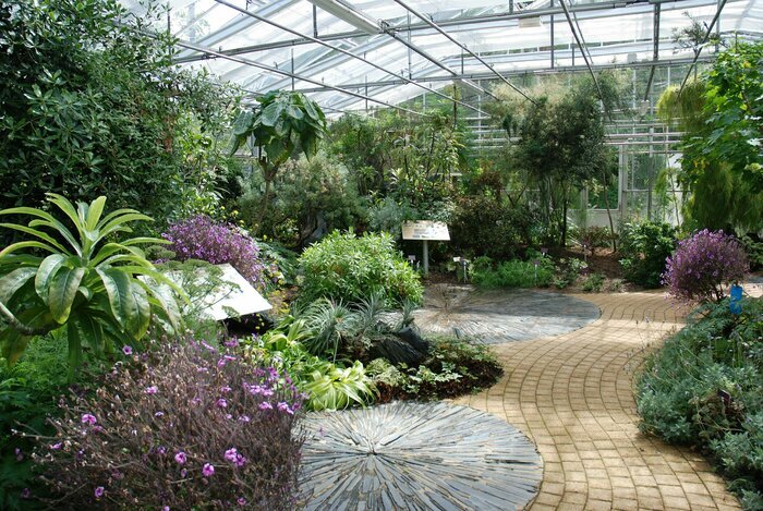 Visite en autonomie des serres tropicales, Jardin du Conservatoire botanique national de Brest, Brest
