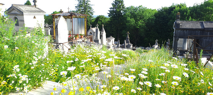 Visite guidée à Laon : Le cimetière Saint-Just, Cimetière Saint-Just, Laon