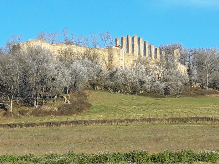 visite guidée château de Lourdon, Château de Lourdon, Lournand