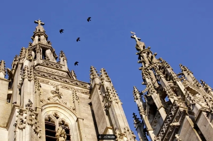 Visite guidée de la Basilique de l’Epine, Basilique Notre-Dame de l’Épine, L’Épine