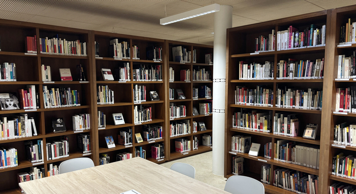 Visite guidée de la bibliothèque de la Cinémathèque de Toulouse, Cinémathèque de Toulouse, Toulouse