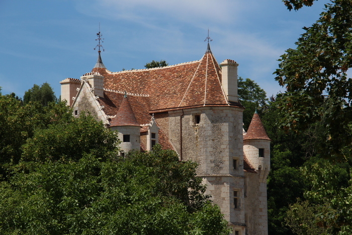 Visite guidée de la charpente du manoir, Manoir de Courboyer, Perche en Nocé