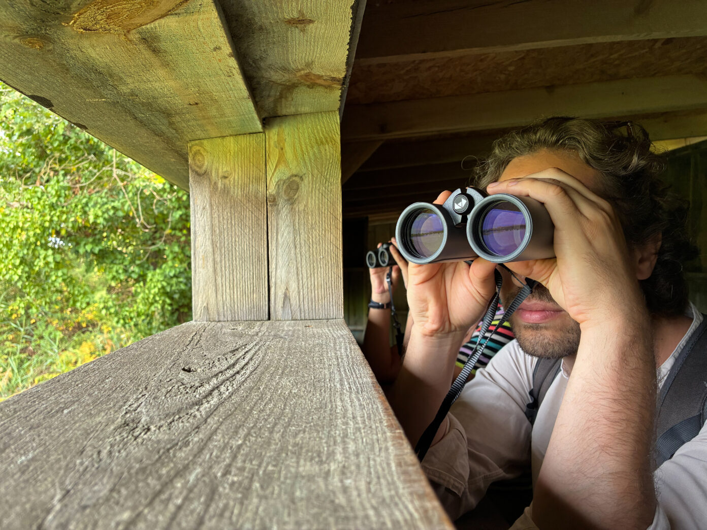 Visite guidée de la Réserve ornithologique du Teich en anglais Le Teich