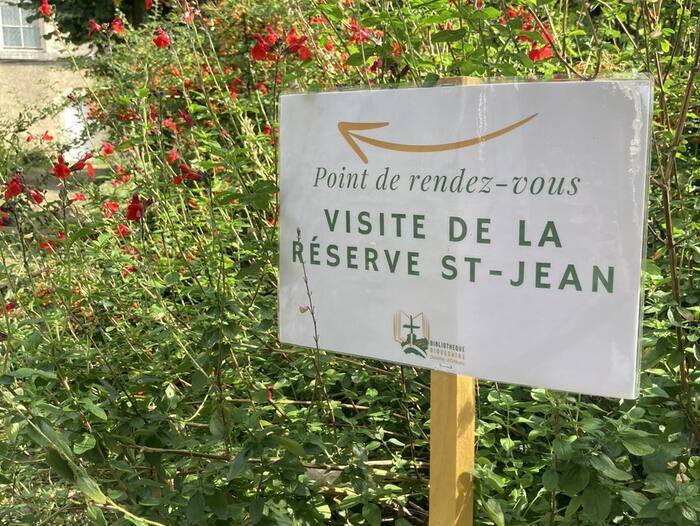 Visite guidée de la réserve Saint-Jean, Bibliothèque diocésaine, Orléans