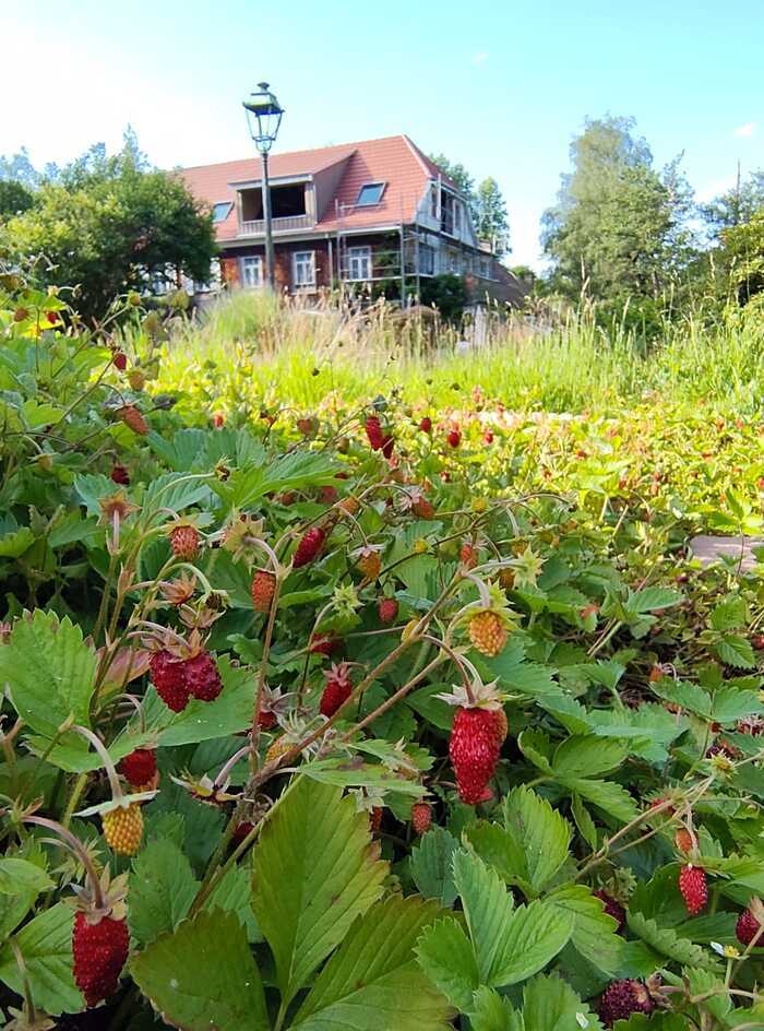 Visite guidée de La Rubanerie, La Rubanerie, La Broque