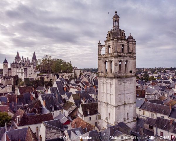 Visite guidée de la Tour Saint-Antoine Loches