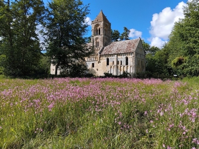 Visite guidée de la vieille église Vieille église de Thaon Thaon