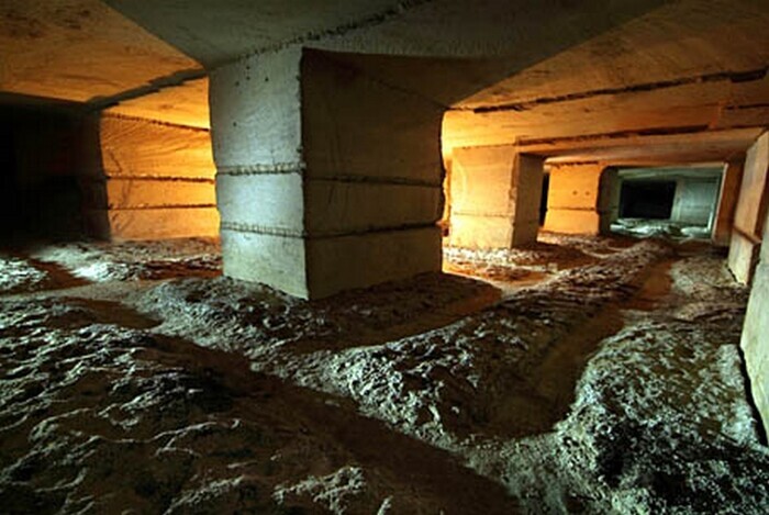 Visite guidée de l’ancienne champignonnière, Champignonnière de Naveil, Naveil