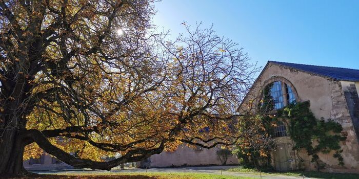 Visite guidée : de l&rsquo;ancienne Chartreuse au Haras de Rodez, Pays d&rsquo;art et d&rsquo;histoire Rodez agglomération, Rodez