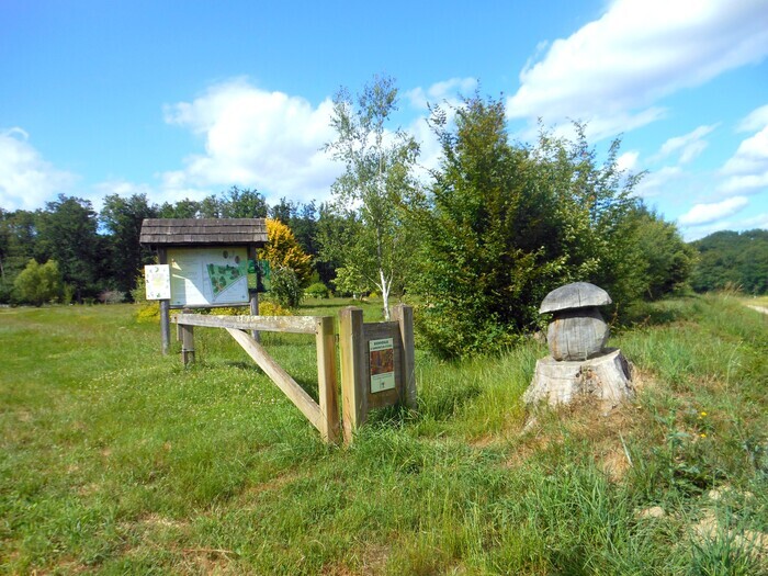 Visite guidée de l'arboretum Arboretum d'Etrez Bresse Vallons
